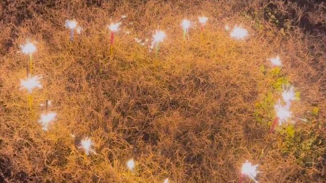 烟花