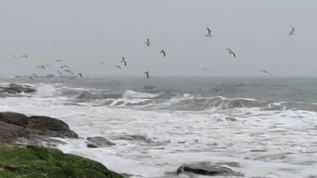 是这个道理吗？