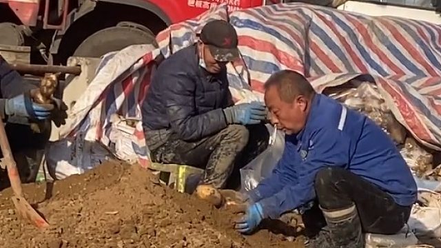 有没有专业人士讲讲  这是干啥