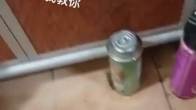 教你如何抓壁虎