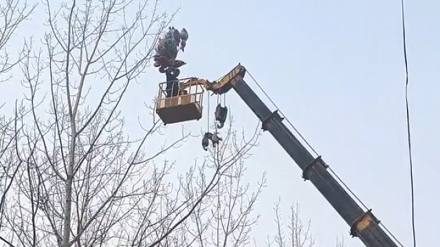 外孙女想要挂在树上的气球，姥爷和舅舅来着掉机就来了