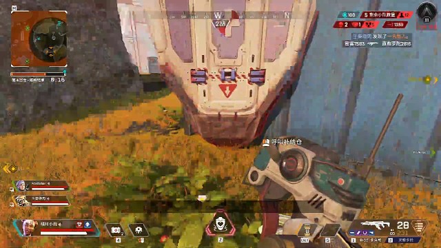 今年的第一个散沙