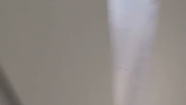 一条有社恐的哈奇士