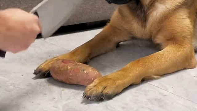 有本事你砍我头上