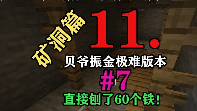 贝爷振金极难第11期：我刨了60个铁！