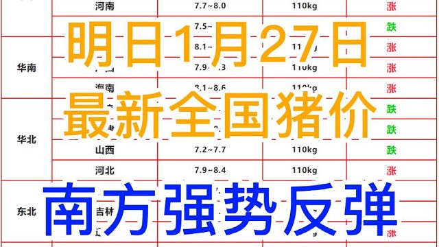 明日1月27日全国猪价早知道！猪价又上涨了 南方强势反弹#猪价最新行情 #养猪人 #自繁自养 #明日