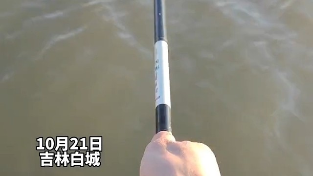 仙鹤？小伙子在河边钓鱼，遇到了他不认识的...