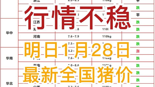 明日1月28日全国猪价早知道！行情不稳 小幅震荡#猪价最新行情 #养猪人 #自繁自养 #明日猪价