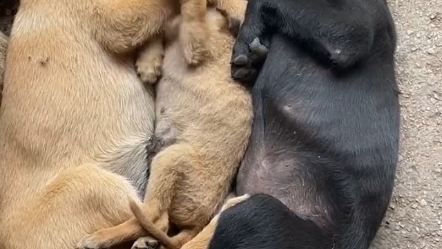 有宝贝的娃娃是最幸福的，到哪都不怕被欺负