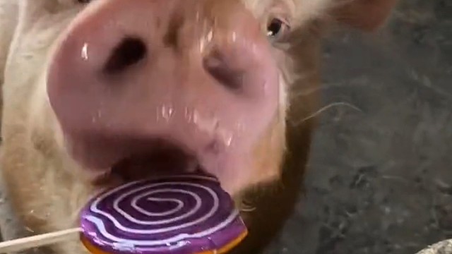 发给你长得最像的朋友看