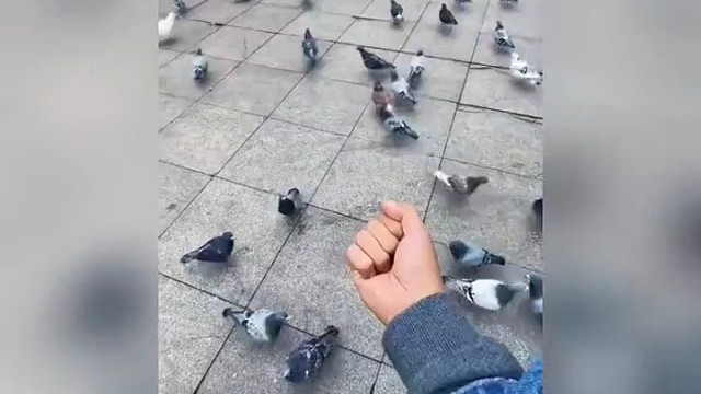 最基本的信任都没有了