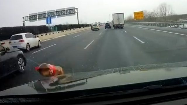 高速上乱扔饮料瓶，这种人素质也太差了