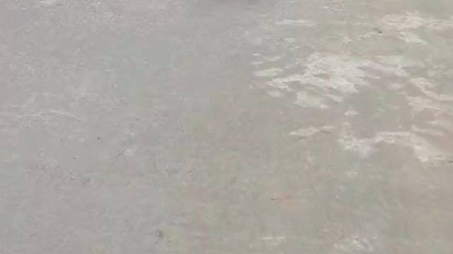 过个年就只剩下它了