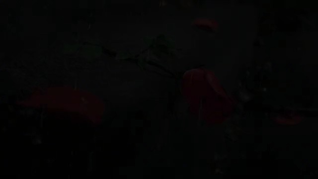 ─=≡Σ(((つ•̀3•́)つ宝