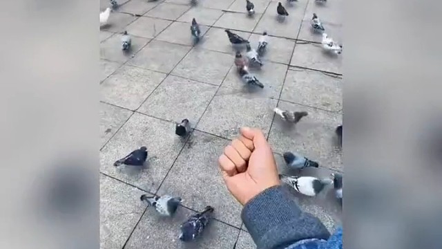 以后公园可以这样玩