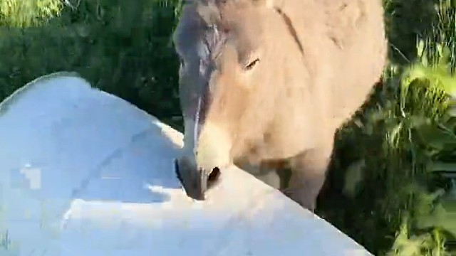 这桶踢的比国足还棒