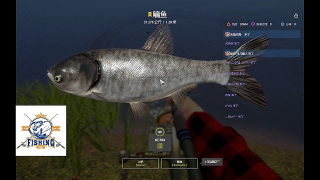 28图蹲三花碰瓷铁头鳙