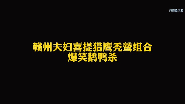 赣州夫妇喜提鹅鸭杀爆笑组合