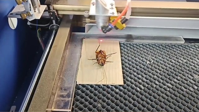 挨激光凌迟，下赛博地狱