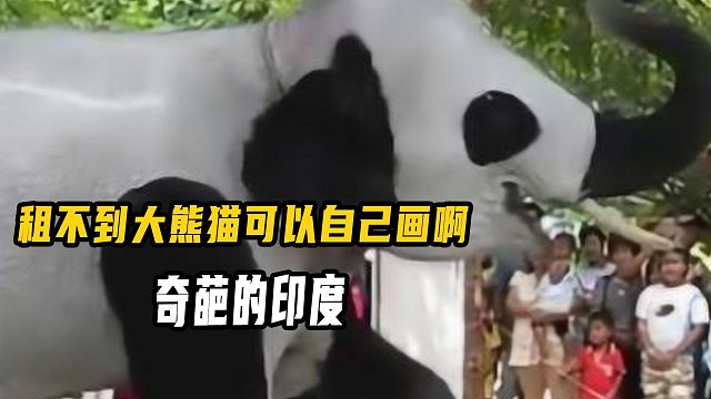 照猫画象，租不到大熊猫可以自己创造啊，奇葩的印度！