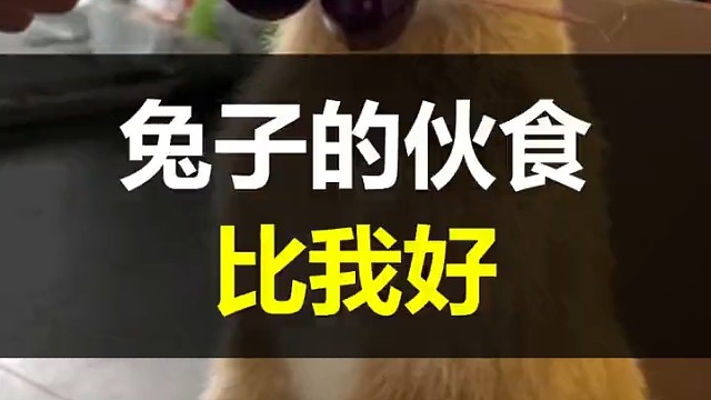 兔兔吃车厘子的正确打开方式