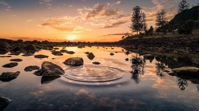 感谢 寒生老板的樱花拿铁哇 哎嘿嘿 甜  是真的甜