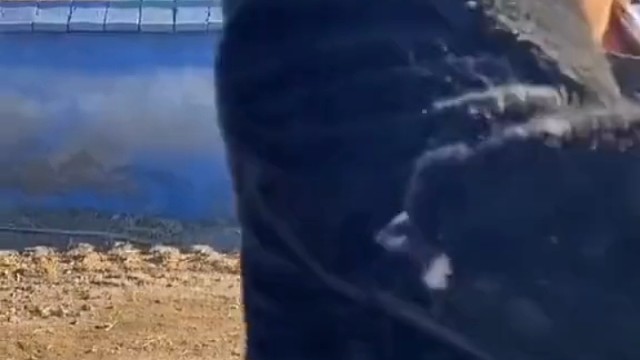 狗子：大哥，我兄弟掉下去了！