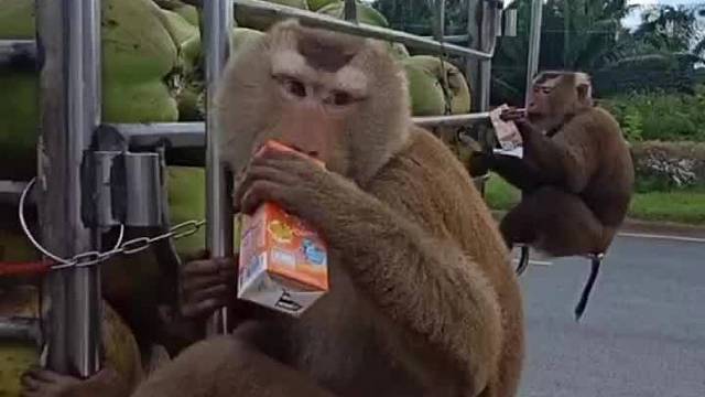 包吃包住居然就不要工资了吗