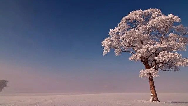 感谢 曾经老板的魔法书呐 惊喜 哎嘿嘿 是一个大惊喜 起飞飞