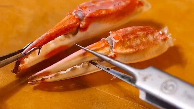 果然每个人都有这么无聊的时刻！[哈欠]