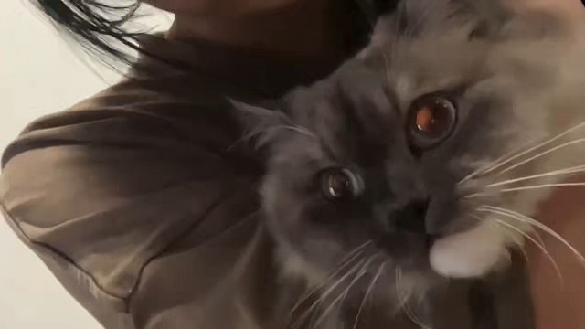 可爱吗，不可爱也不删。