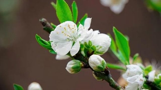 感謝 上上下九老板的魔法書喔 蕪湖 起飛飛 開啟新的一天