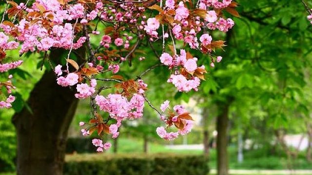 感谢 清风老板的彩虹兔兔呐 哈哈哈 超好看 不知道吃不吃胡萝卜