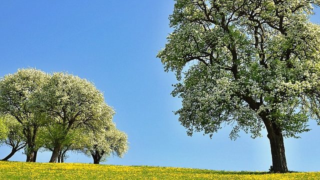 感谢 静静安老板的大火锅哇 开饭了 开饭了 快来啊