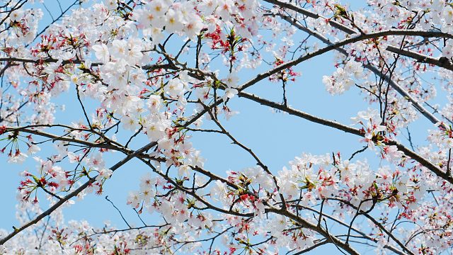 感谢 曾经老板的又一枚玉龙令狐哇 知道了 双倍快乐 双倍开心