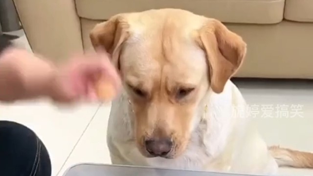 请你们好好做个人吧！