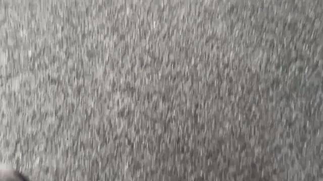 来了来啦来哦来哟