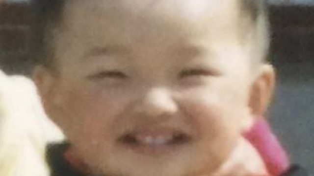 魔兽服普通舞阳4碎梦视角