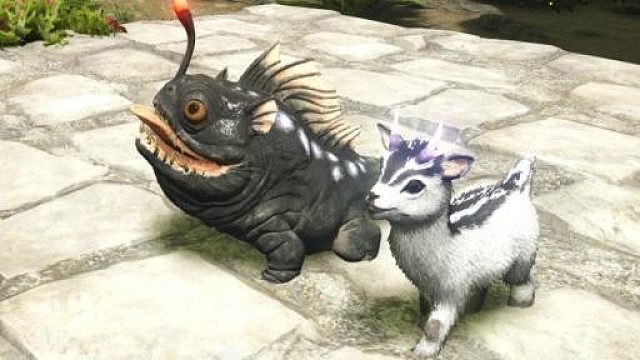 单挑孤岛监察者