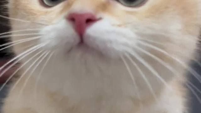 我夸完你了，现在轮到你夸我了