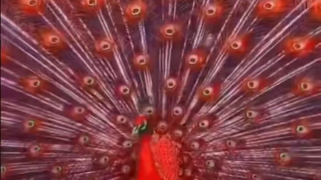 春日心动，为你而来万千精彩