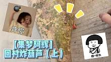【集梦阿辉】回村炸葫芦（上）