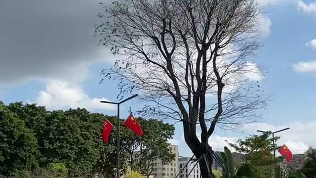 这音乐配啥都emo