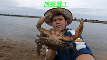 阿平到养殖场赶海收获了好多大螃蟹