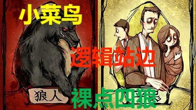 【狼人杀】【小菜鸟】警下唯一猎人，找到预言家，并裸点四狼