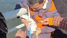 家长陪男孩抓海鸥，欲塞进瓶子里带走，现场多人劝诫