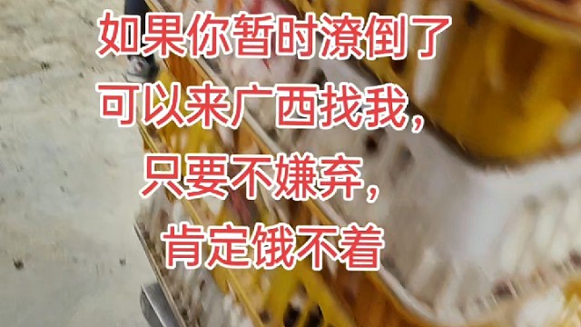 今年不知道做什么的，都可以过来了解养兔。