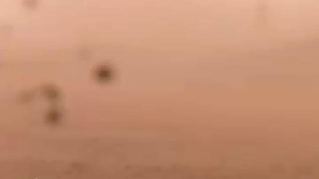 连心丨暖彻人心！总书记跨越千里的惦念