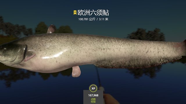 猪皮多说明有大母猪下崽