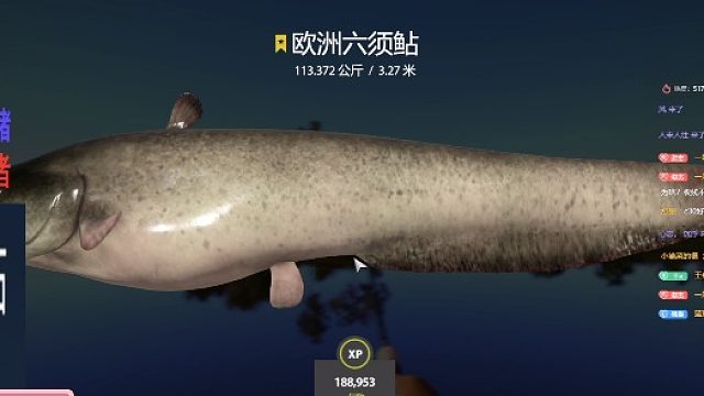 欧鲇出坑显本性，不要忽视任何一条能炸钩的欧鲇。